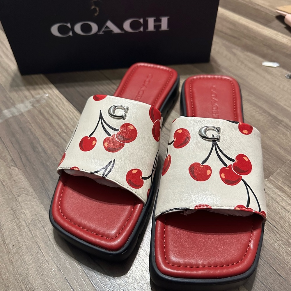 Coach cherry print slides
